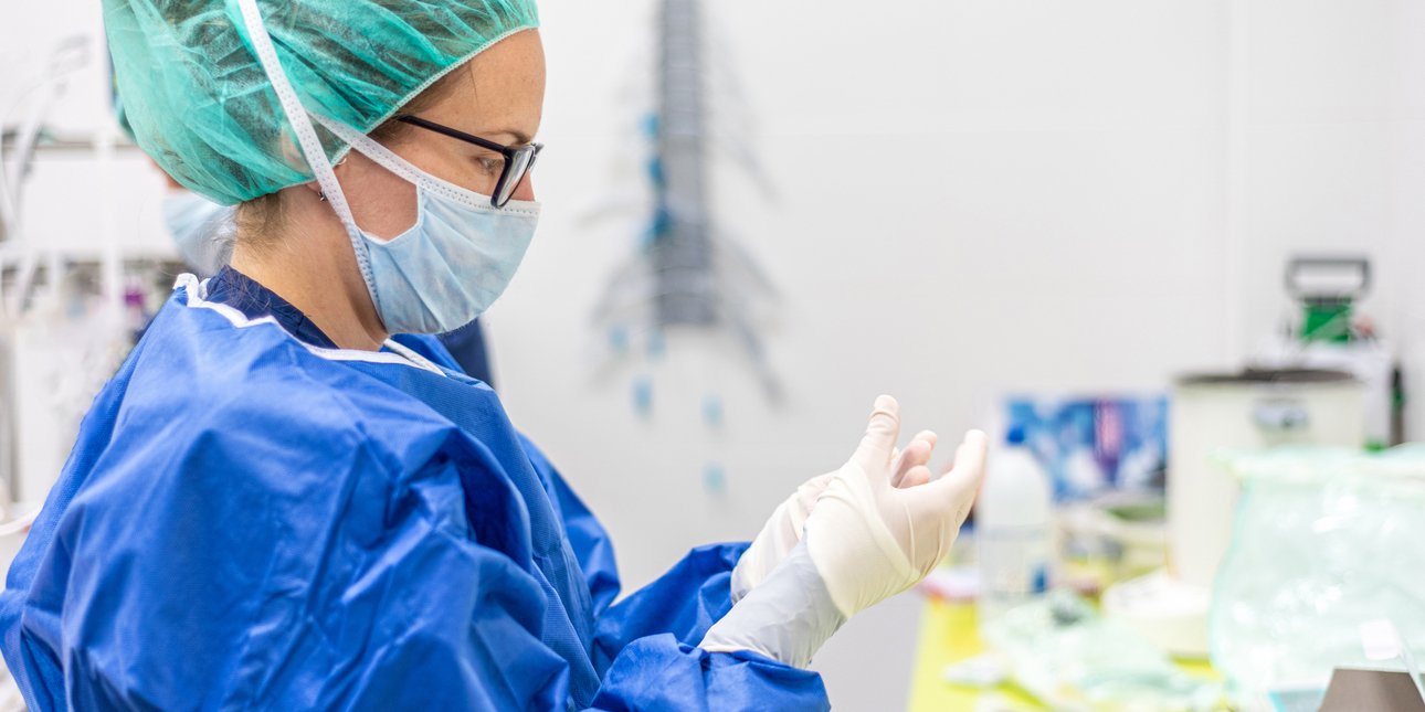 the doctor puts on the gloves